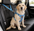 Veiligheidsautogordel voor Honden