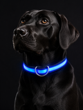 LED Veiligheidshalsband voor Honden
